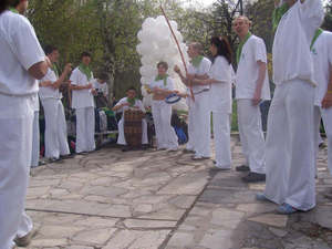 �������� 2008