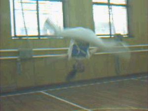 Valio1
