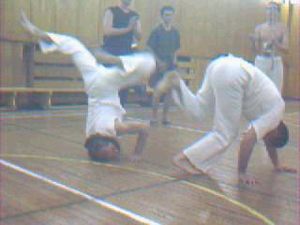 Roda1