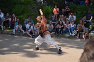 The headmaster of the Shaolin Temple Europe - Shi Heng Yi in Kung Fu form