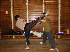 Dimitar Sotirov & Vladimir Nguen