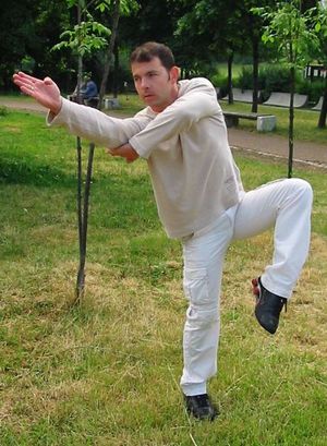 kung fu Bulgaria