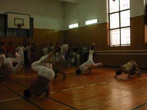 seminar 2006