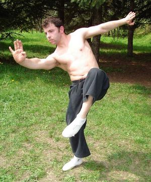 Xuangui kung fu-Bulgaria