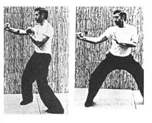 Socke Roland Habersetzer demonstrates a Wing Chun and Hung Gar technique