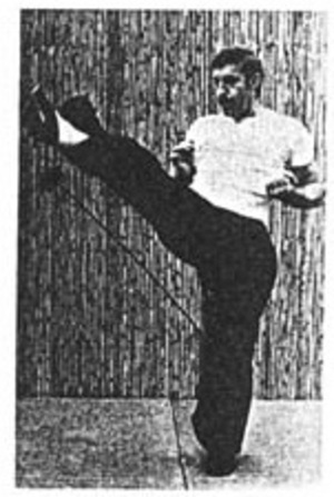 Soke Roland Habersetzer demonstrates a Kung fu kick